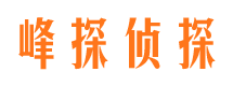 青龙市私家侦探